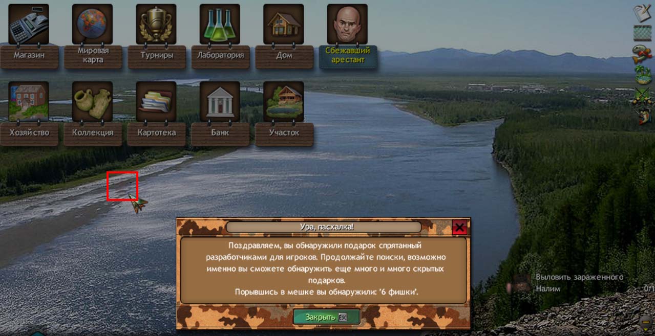 scr.jpg