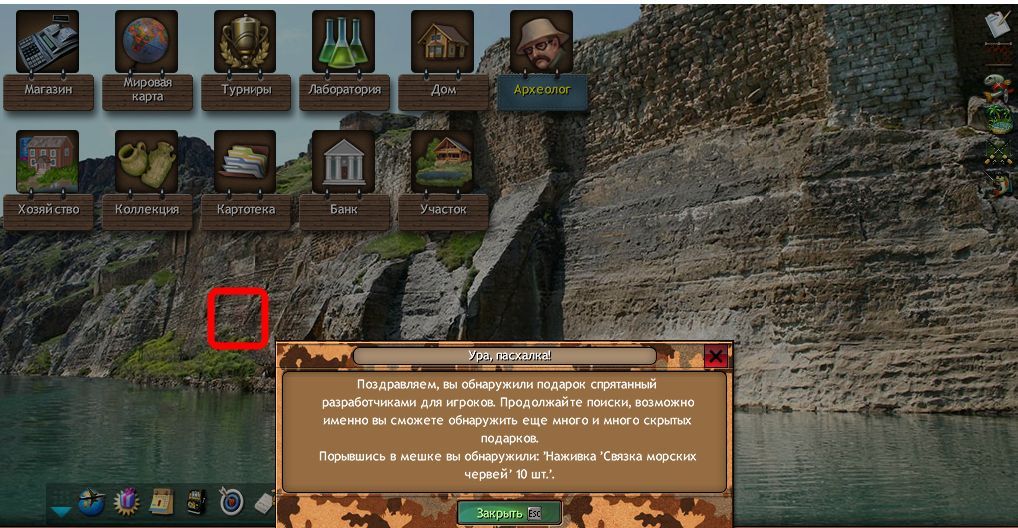 tigr 2.jpg