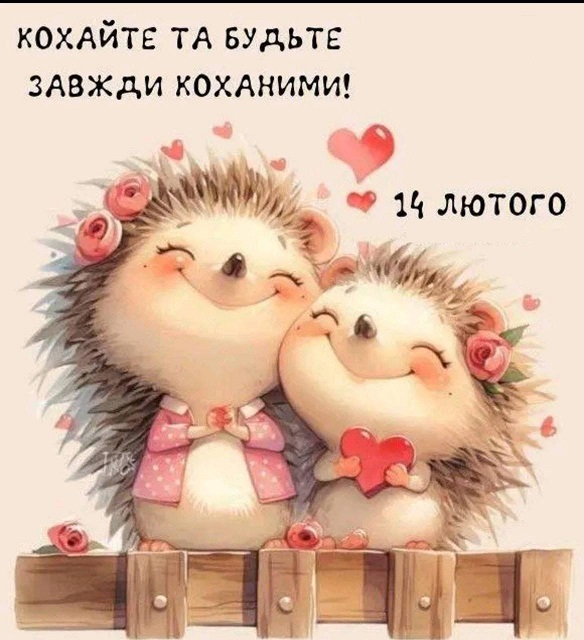 123.jpg